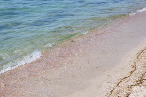 прозрачная вода пляжа иногда содержит немного водорослей
