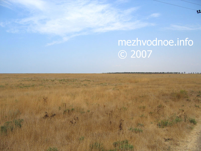 поле за посёлком - фотография с улицы, улица Садовая, село Межводное